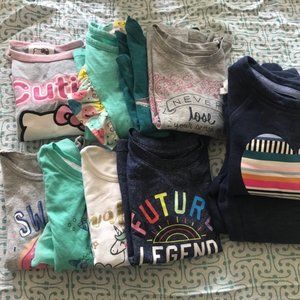 Toddler Girl Lot size 2T